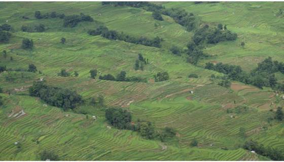 微信图片_20190810220643