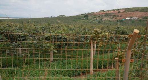 微信图片_20190810220633